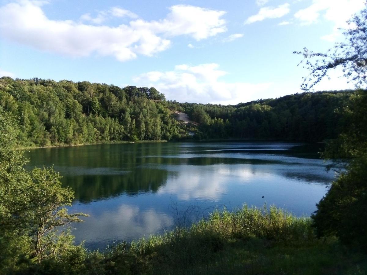 Apartament Joanna Wapnica  Zewnętrze zdjęcie